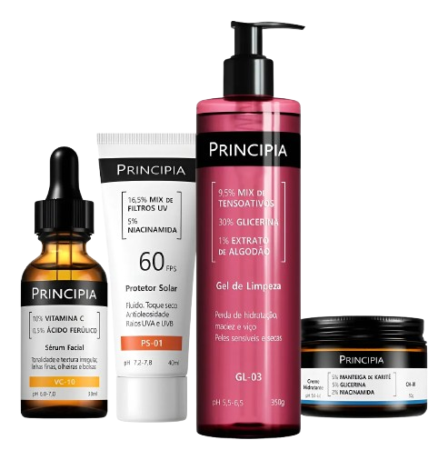 Melhores Kit Principia para sua pele